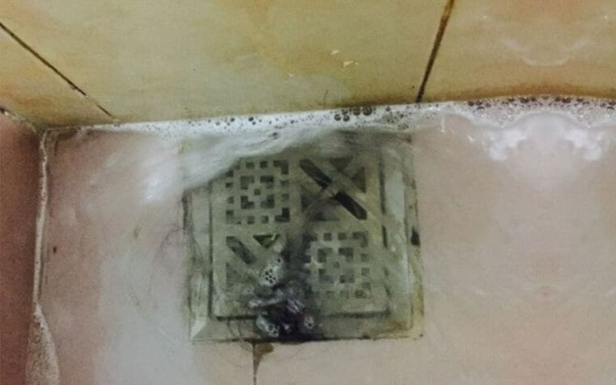 Có nhiều nguyên nhân gây ra mùi nhà vệ sinh, tắc cống bởi thức ăn và dị vật là một trong số nguyên nhân đó