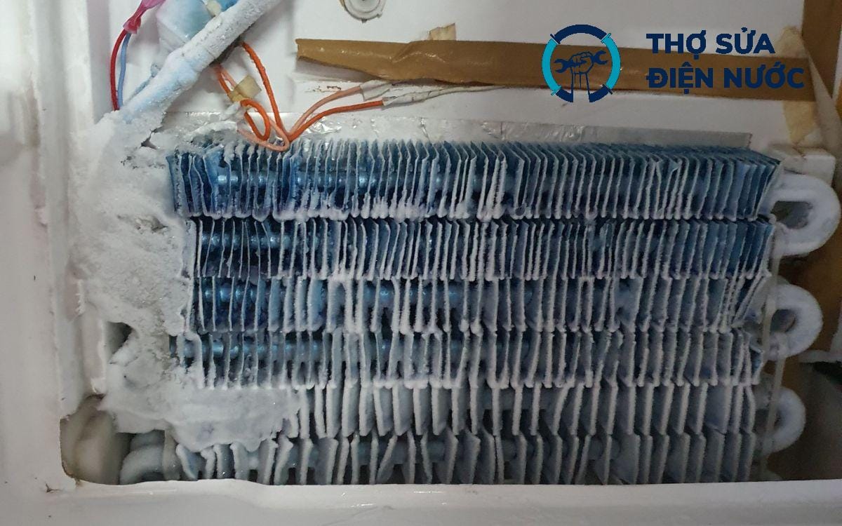 sửa tủ lạnh Thanh Xuân