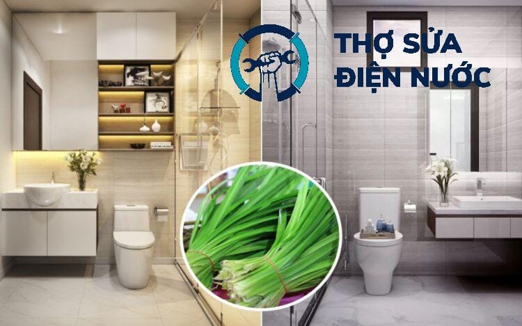 Xử lý mùi hôi nhà vệ sinh Long Biên