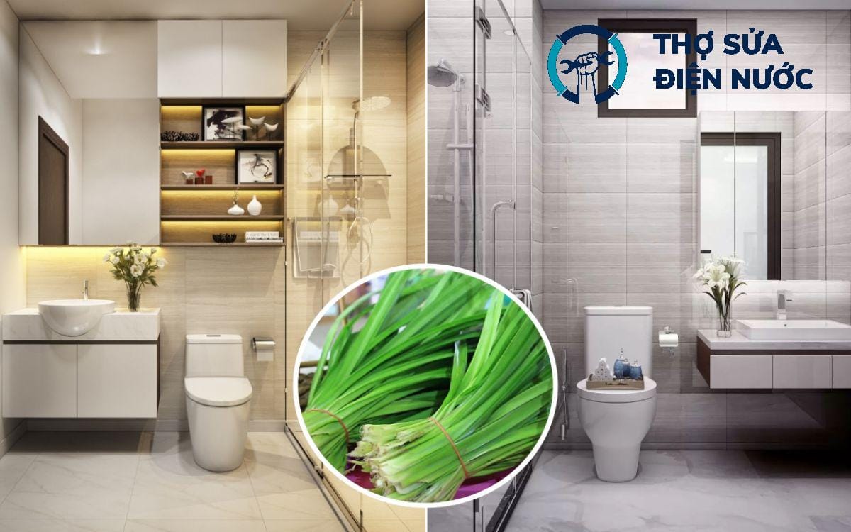 Xử lý mùi hôi nhà vệ sinh Long Biên