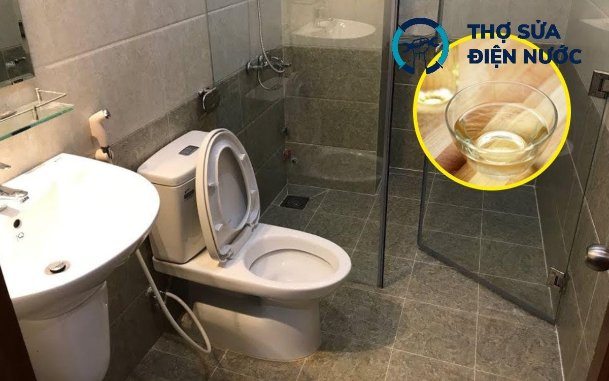 Xử lý mùi hôi nhà vệ sinh Tây Hồ
