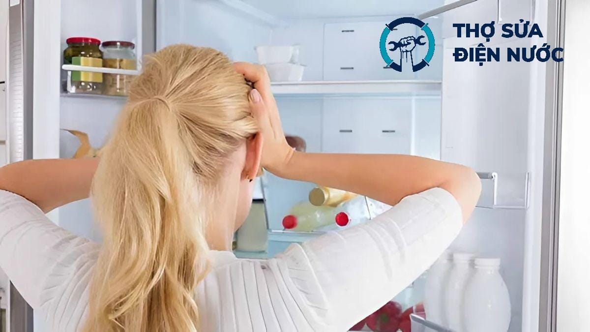 tu lanh khong chay 10